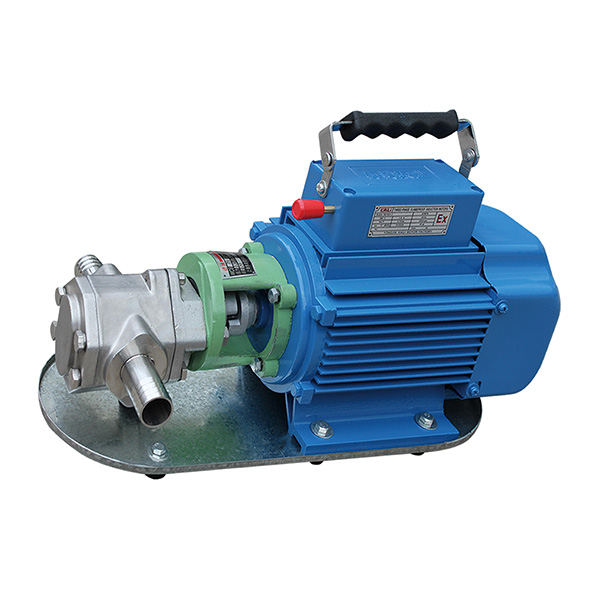 WCB gear oil pump